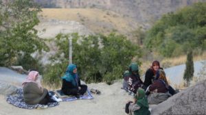 شناخت و ارزیابی عوامل موثر در نابرابری جنسیتی زنان روستایی استان ایلام