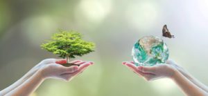 بررسی تاثیر نابرابری درآمد بر کیفیت محیط‌زیست و سلامت در ایران