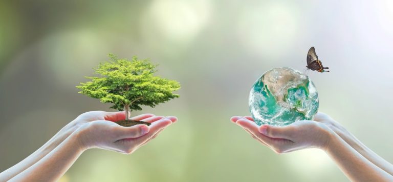 بررسی تاثیر نابرابری درآمد بر کیفیت محیط‌زیست و سلامت در ایران